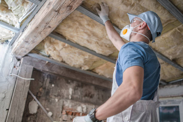 Best Specialty Insulation in Somerset, KY